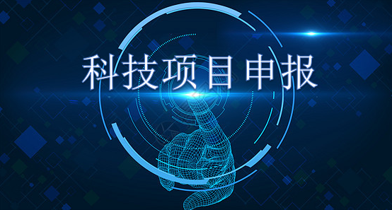 根據(jù)市區(qū)兩級(jí)最新政策，建議 2023年重點(diǎn)關(guān)注以下各類項(xiàng)目